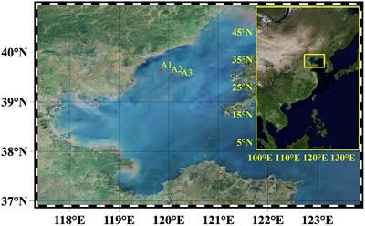 Pathogenic bacteria significantly increased under oxygen depletion in coastal waters: A continuous observation in the central Bohai Sea